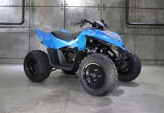 CFMOTO C FORCE 110